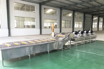 What are the types of fruit and vegetable cleaning machines?